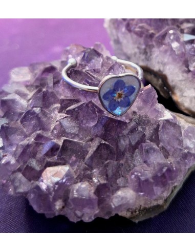 ANILLO NO ME OLVIDES-1