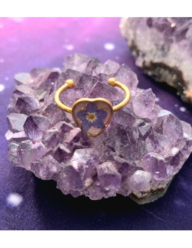 ANILLO NO ME OLVIDES-2