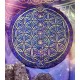 PLATO ENERGIZANTE 7 CHAKRAS-FLOR DE LA VIDA-1
