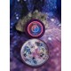 VELA GALAXY